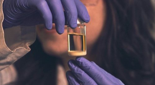 Givaudan strengthens in fermented ingredients through new deal with Amyris