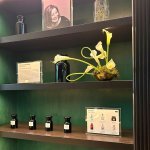 Po ONE Lab opens with a two-day program in February 2026, beginning with a private inauguration for industry partners, media, and VIP guests, followed by a public exhibition (Photo: dsm-firmenich)