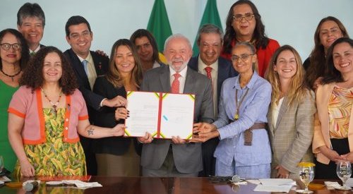 Brazil: Lula signs law banning the use of animals in cosmetics testing