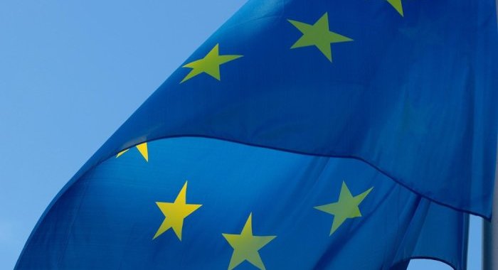 Élections européennes 2024, la FEBEA interpelle les élus et futurs élus