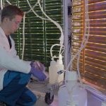 EpiSnow est issu d'algues extrêmophiles qui se développent sur les sommets enneigés à rayonnements UV intenses et aux faibles concentrations de nutriments (Photo : Mibelle Biochemistry)