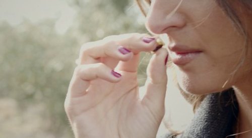 Eurofragance unveils Olivante®, its latest proprietary perfumery ingredient