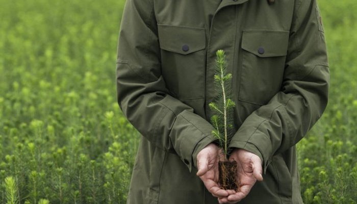 Metsä Board achieves the highest sustainability rating from EcoVadis 