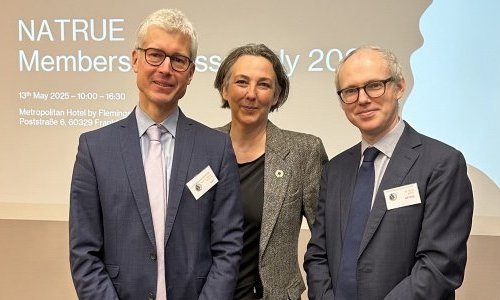 Natrue elects Wala Heilmittel's Prof Dr Florian Stintzing as its new President