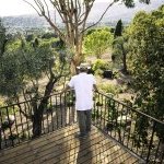 LMR Naturals, la filiale d'IFF (International Flavors and Fragrances) spécialisée dans les ingrédients naturels pour la parfumerie, les cosmétiques et les arômes, a inauguré jeudi 28 mai un tout nouveau champ expérimental à Grasse (Photo : LMR Naturals by IFF)