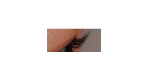 Shiseido: a new ingredient for boosting eyelashes growth