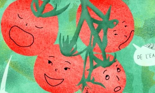 Zoom sur la tomate : les secrets d'une peau sans pépins